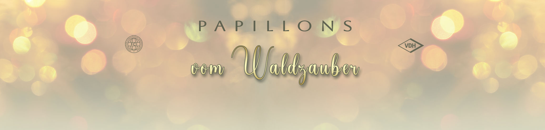 Waldzauber Papillons | FCI-VDH-PPCD